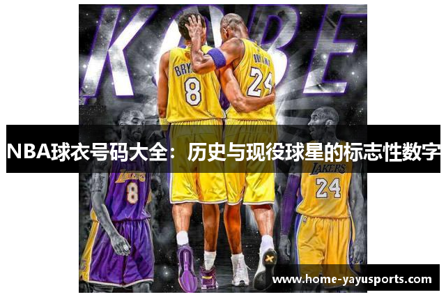 NBA球衣号码大全：历史与现役球星的标志性数字